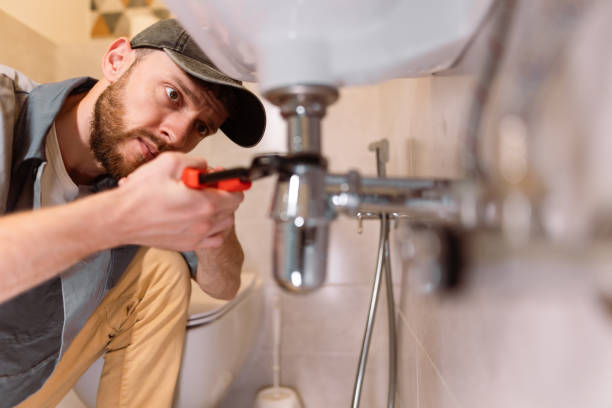 Best Plumbing Inspection Services  in Felton, DE