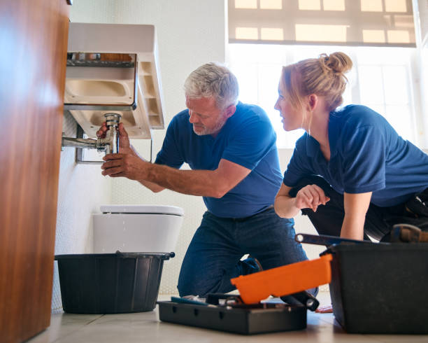 Best Best Plumbers Near Me  in Felton, DE